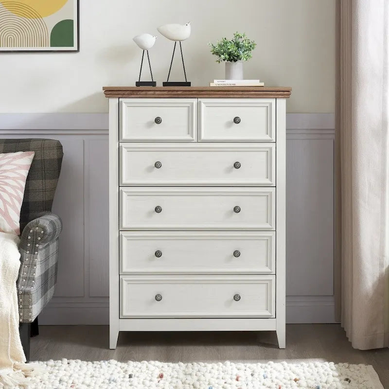 6-Drawer Dresser Cabinet with Chest of Drawers & Closet Organizer