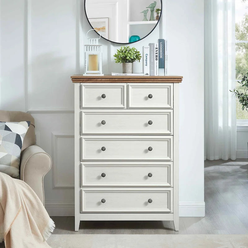 6-Drawer Dresser Cabinet with Chest of Drawers & Closet Organizer