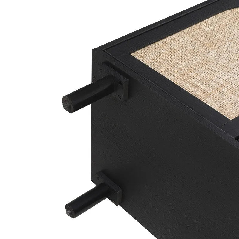4-Door Rattan Storage Cabinet
